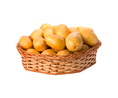 سیب زمینی ارگانیک تازه آیداهو